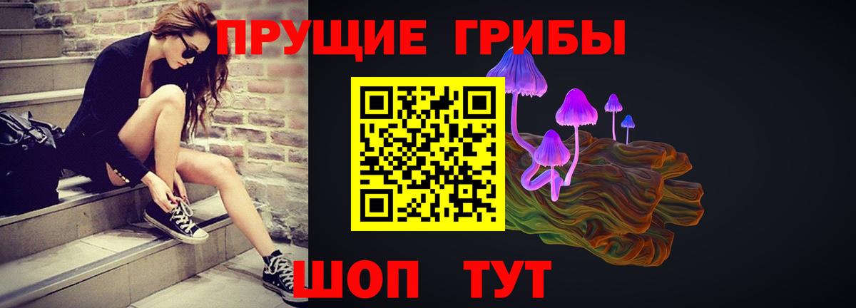 Галлюциногенные грибы прущие грибы Берёзовский